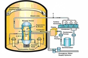 Pressurized water reactor primary cooling system with enriched boric-10 acid as chemical shim